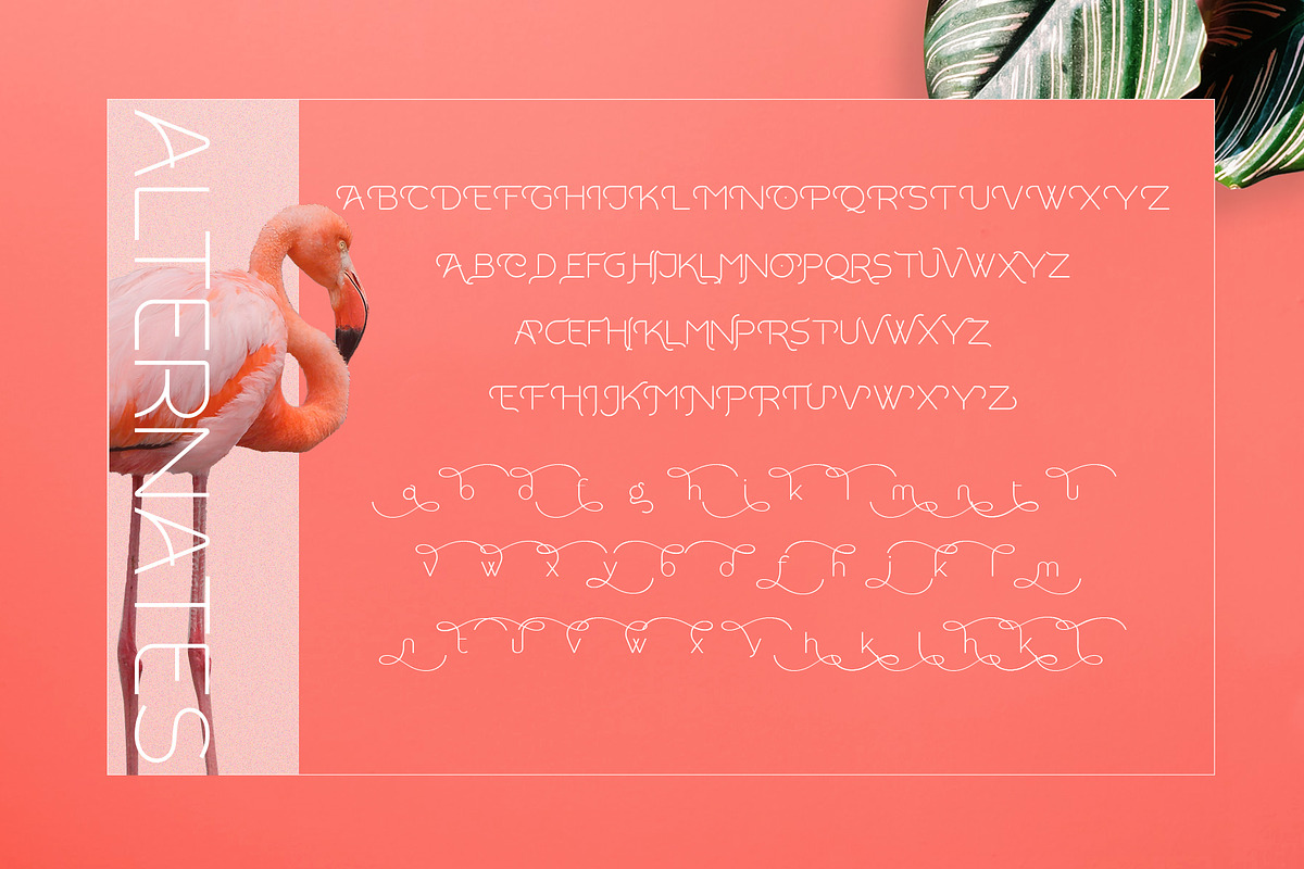 Rollgates Modern Sans, a Sans Serif Font by Cotbada_studio (Photo 10 of 10)