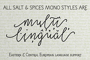 50% OFF Salt & Spices Mono, a Script Font by Fontforecast (Thumbnail 11 of 13)