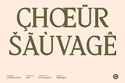 CS Majora Drawn, a Serif Font by Craft Supply Co. (Thumbnail 6 of 8)