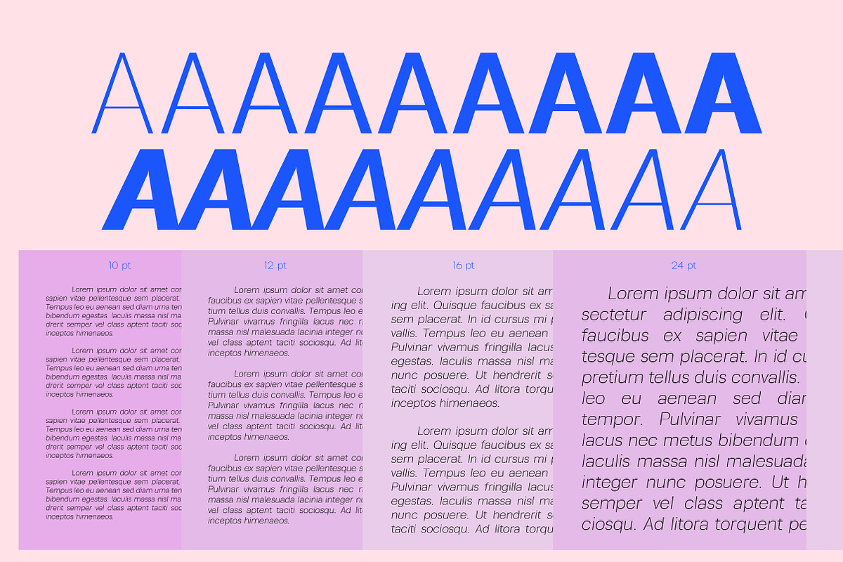 Alvara Sans High Contrast Family, a Sans Serif Font by Lettertype Studio (Photo 8 of 15)