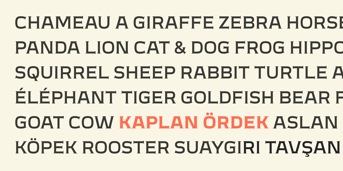 Meguro Serif, a Serif Font by GT&CANARY (Photo 6 of 12)