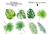Tropical Leaves, a Texture Illustration by Elly Studio (Thumbnail 3 of 7)