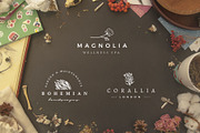 Logo Ultra Bundle, a Branding & Logo Template by Nues Design (Thumbnail 30 of 56)