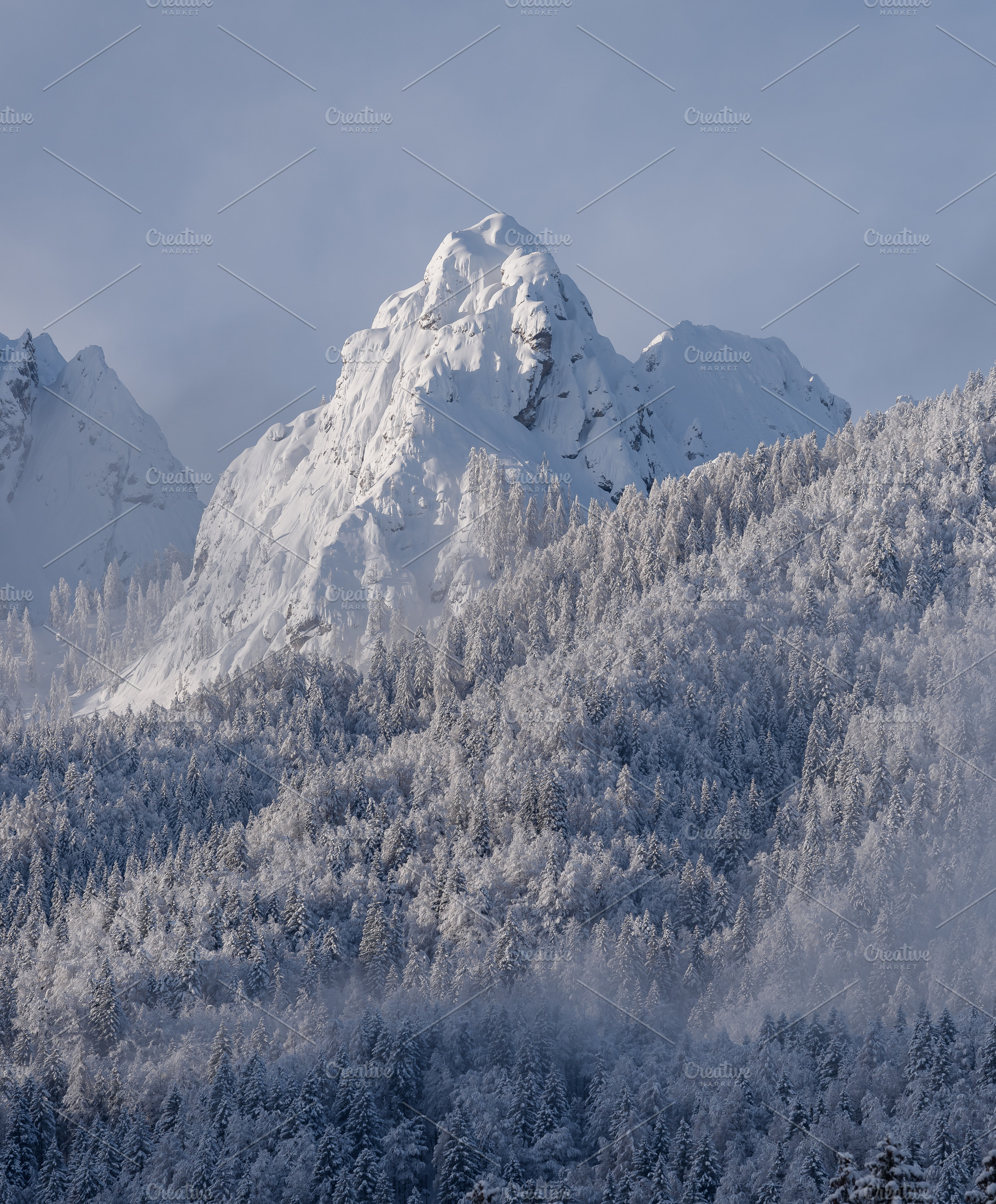 Winter morning in the forest and mountains, a Nature Photo by Dreamy Pixel