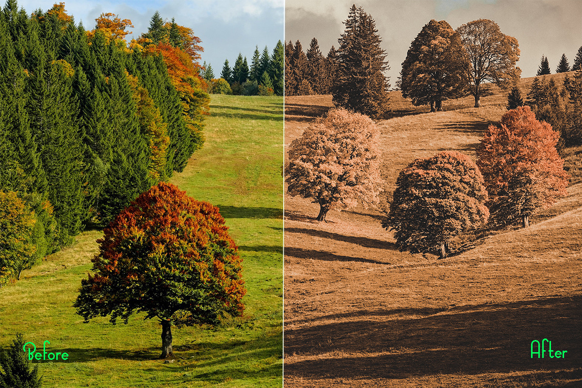 Autumn Photoshop Actions 110 Bundle, an Action Add-On by ARTNEST (Photo 3 of 11)