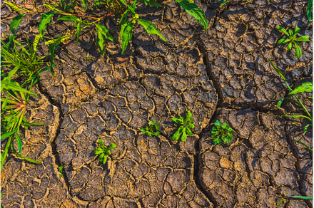 Cracked earth, metaphoric for, an Abstract Photo by Lukas Jonaitis SHOP
