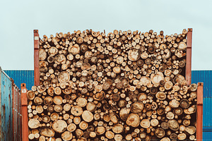 Stacked Timber Logs in Storage