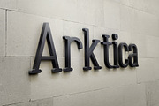 Arktica Font, a Serif Font by Alex Blogoodf (Thumbnail 6 of 8)