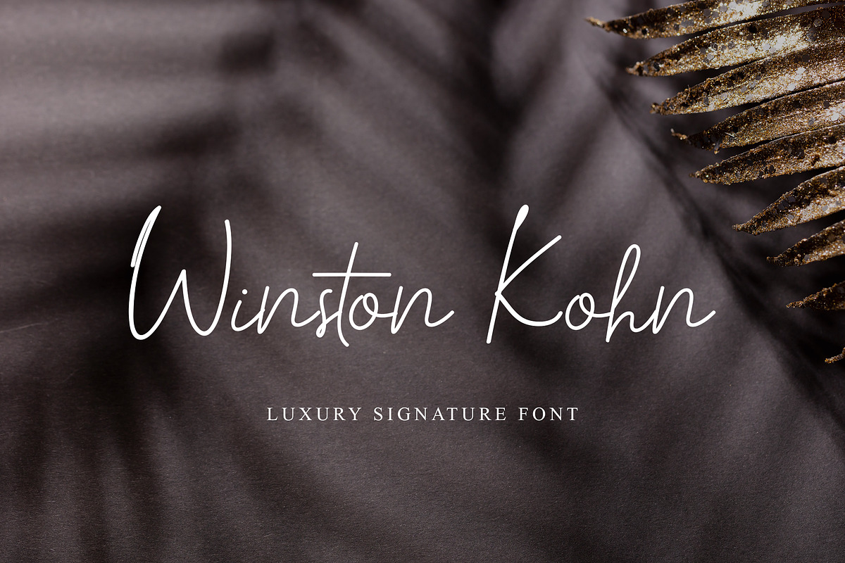 Winston Kohn Signature Handwritten, a Handwritten Font by UICreative (Photo 1 of 6)