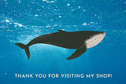FUNKY OCEAN: clipart, pattern, an Animal Illustration by Elliko shop (Thumbnail 8 of 8)