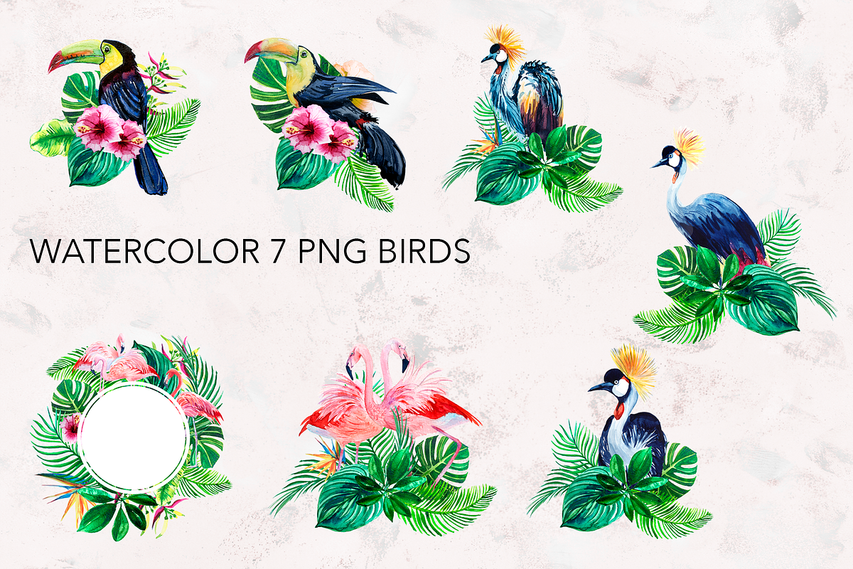 Parrots. Watercolor exotic BIRDS, an Illustration by lilisavelieva (Photo 5 of 5)