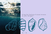 Seashells Hand drawn vector elements, a Seasonal Illustration by Lena Nikolaeva (Thumbnail 9 of 14)