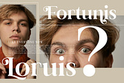 Dalime Stylish Modern Serif Font, a Serif Font by Storytype Studio (Thumbnail 4 of 15)