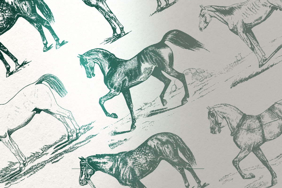 Vintage Bundle 2500+ Free Update, an Animal Illustration by Retro Machine (Photo 42 of 170)