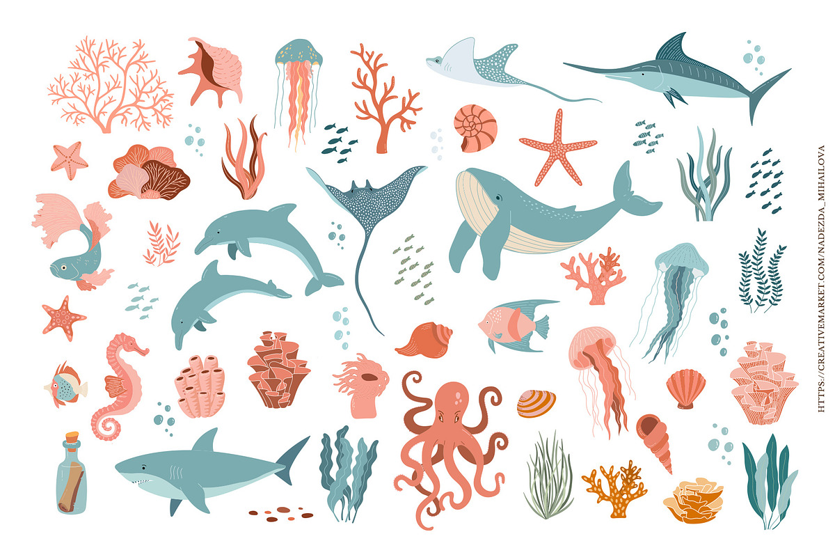 Sea Life Collection, an Animal Illustration by Nadezhda Mikhailova (Photo 13 of 18)