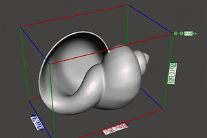 7 Shell Planter For 3D Printing