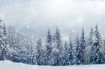 Beautiful winter landscape with snow covered trees, a Nature Photo by Byrdyak