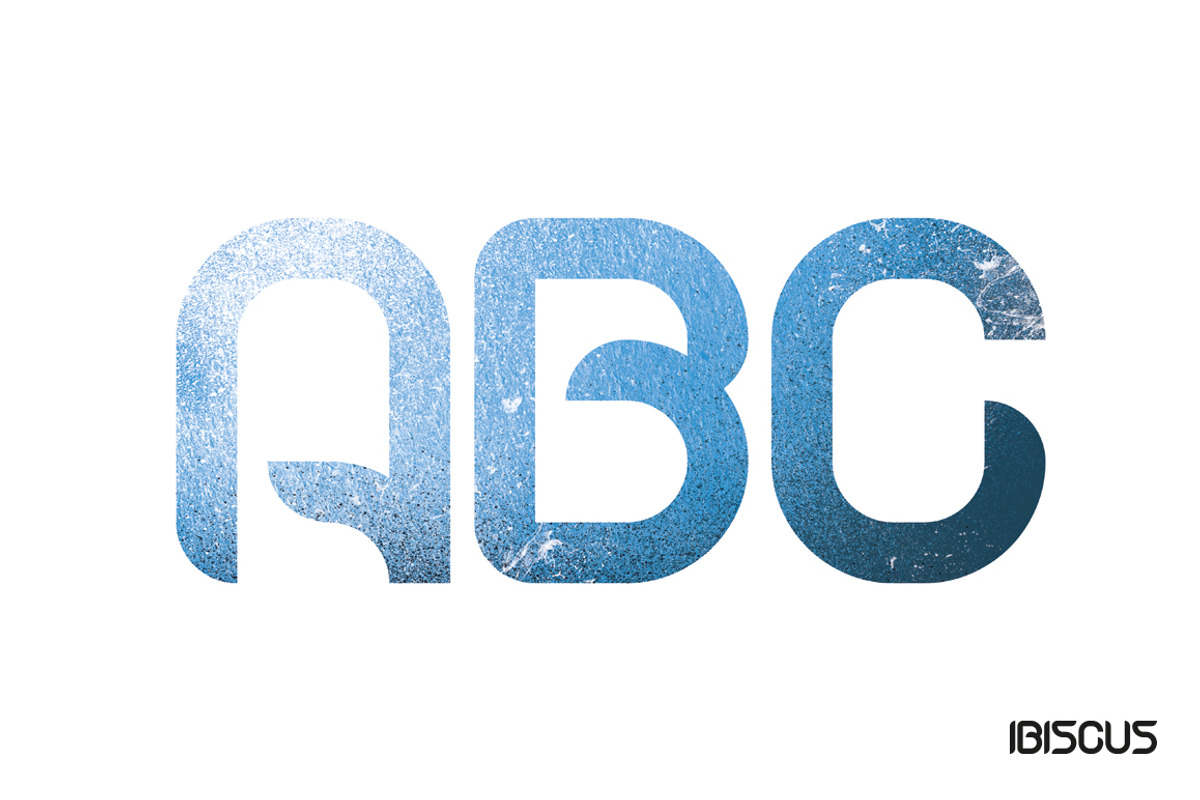 Ibiscus, a Handwritten Font by La Boite Graphique (Photo 3 of 4)