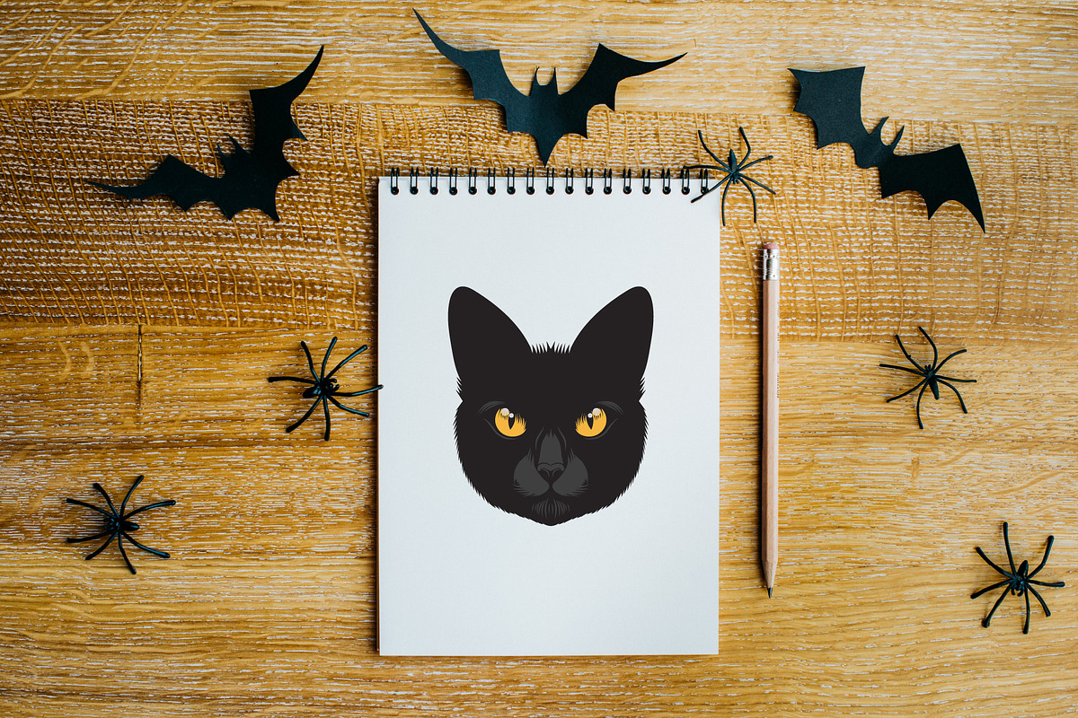Halloween Witch, Cat, Bat Character, a Decorative Illustration by Imaginary Party (Photo 6 of 10)