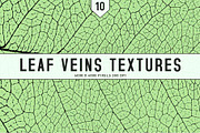 Leaf Veins Textures, a Texture Graphic by Creativetacos (Thumbnail 1 of 4)