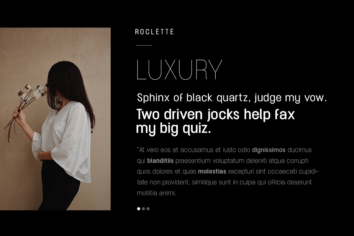 Roclette Pro Display Typeface, a Sans Serif Font by Foxtype (Photo 5 of 7)