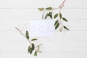 5x7 Stationery Mockup - Eucalyptus 1, a Print Template by ILLONA GRAPHICS (Thumbnail 1 of 5)
