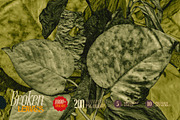 Broken Leaves 200 Transparent Object, an Object Graphic by nicholasasmita (Thumbnail 11 of 15)