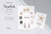 Watercolor Starfish Life Cycle Set, an Education Illustration by MayaNavits (Thumbnail 2 of 8)
