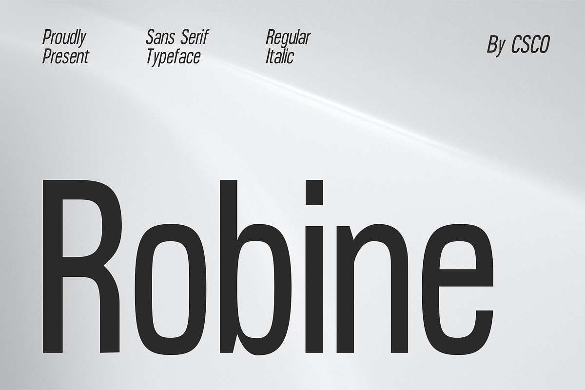Robine – Condensed Sans Serif, a Sans Serif Font by Craft Supply Co. (Photo 1 of 8)