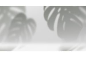 Monstera leaves shadow on white wall, an Illustration by art PVP - market