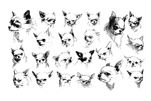 Small chihuahua dog head black ink, an Object Illustration by Onyx