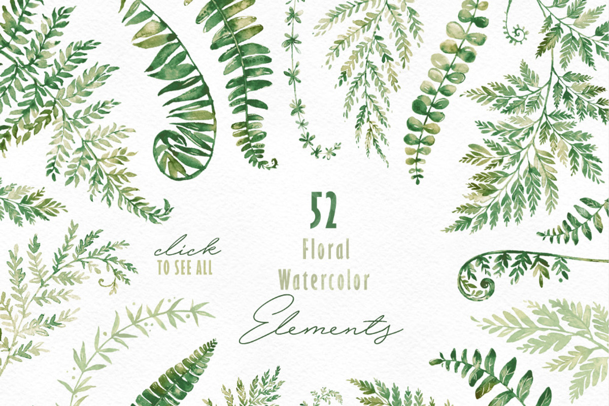 Fern Land. Watercolor Collection, an Illustration by OctopusArtis (Photo 6 of 8)
