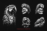 10 Bundle Dark Art Macaw Bird Parrot, an Illustration by Morspective (Thumbnail 5 of 7)