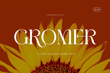 GROMER Elegant Ligature Serif