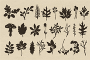 Autumn Botanicals Clipart, a Seasonal Illustration by RaDavCrafts (Thumbnail 3 of 12)