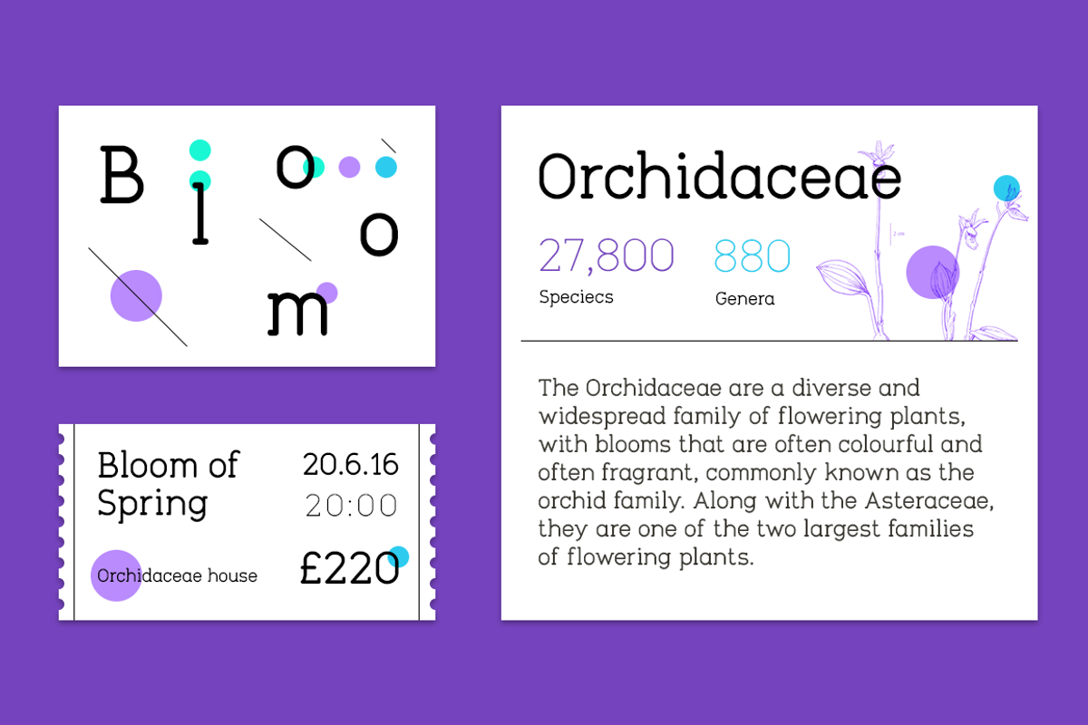 Tempoline Font (75% OFF!), a Sans Serif Font by Poli Gilad (Photo 9 of 14)