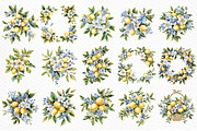 Watercolor Lemon Blossom Clipart, an Illustration by Craft Nest (Thumbnail 6 of 12)