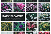 Dark Flowers - Stock Photos, a Nature Photo by outlinez (Thumbnail 2 of 8)