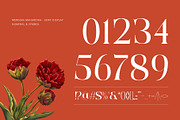 Merdeka Mahardika - Logo Serif Font, a Serif Font by Nirmana Visual (Thumbnail 5 of 8)