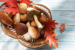 Wild mushrooms and autumn leaves in wicker basket, a Food & Drink Photo by Olena Rudo
