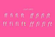 Toriga, a Sans Serif Font by JAM Type (Thumbnail 4 of 12)