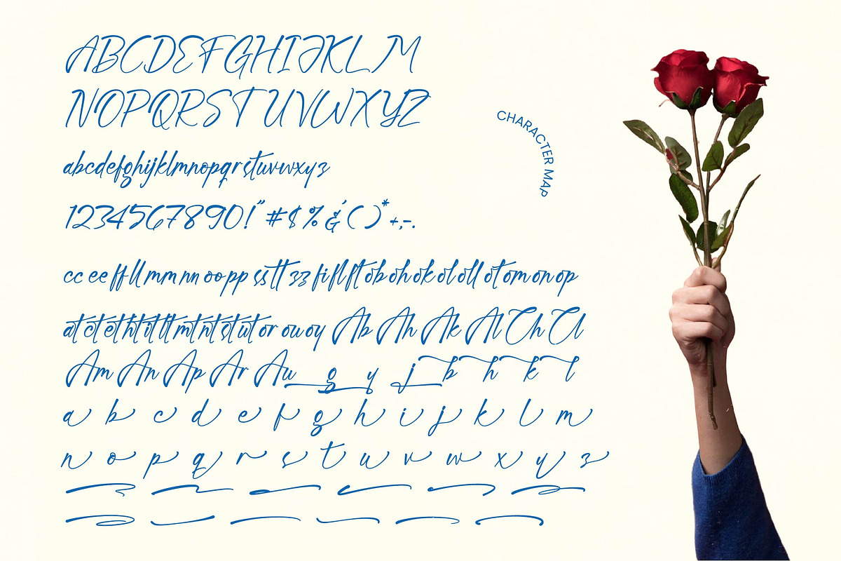 Changke Anitsuka Handwritten Ink, a Script Font by Letterena Studios Script (Photo 4 of 10)