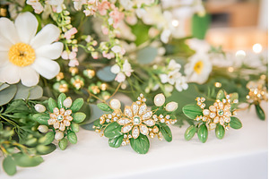 Elegant floral brooches with crystal, a Nature Photo by Lermont51