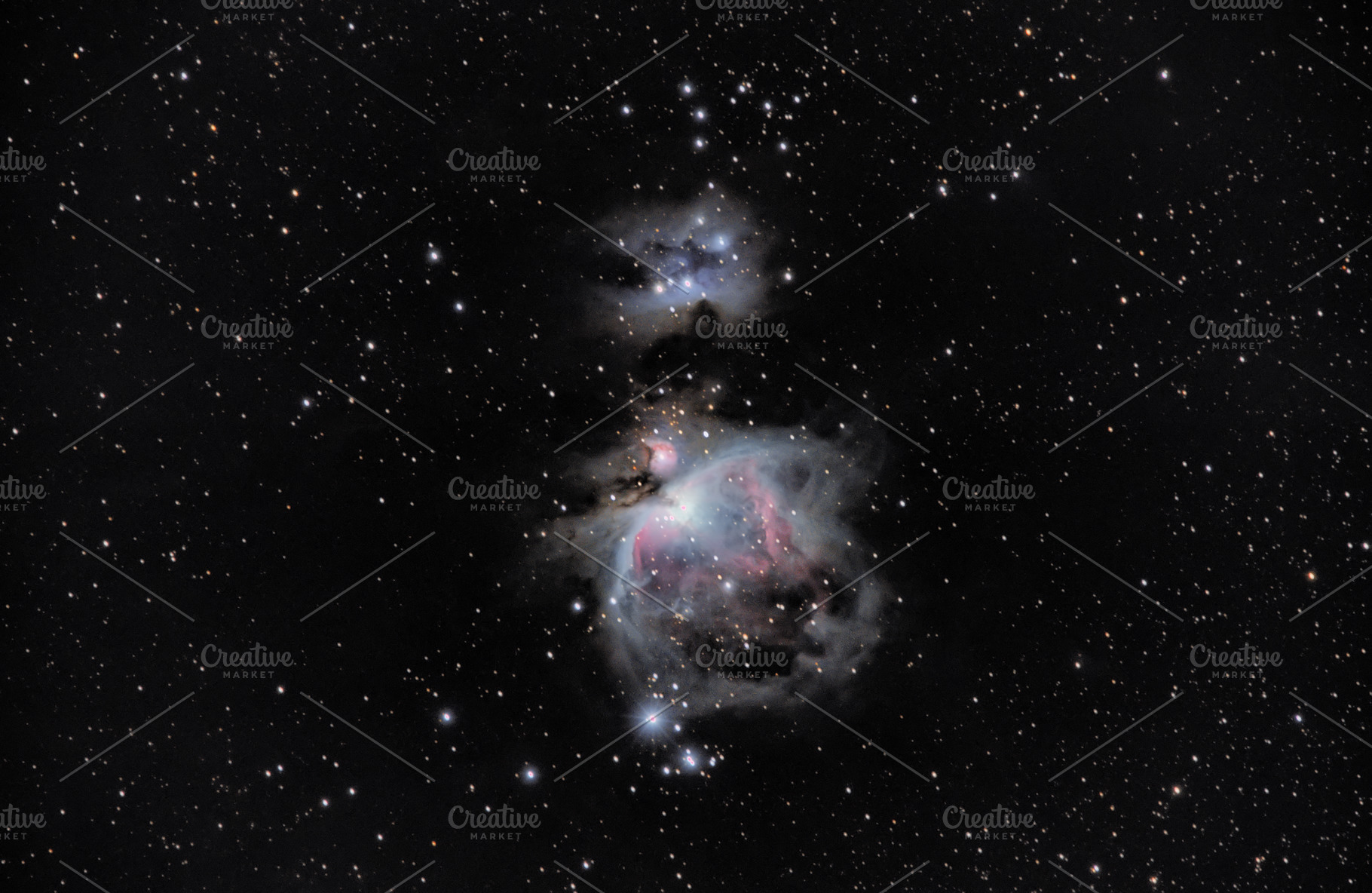 M42, great nebula of Orion in Alava, a School & Education Photo by PhotoNature