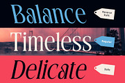 CS Quantine – Elegant Font, a Serif Font by Craft Supply Co. (Thumbnail 5 of 8)