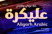 Aligarh Arabic - Arabic Font Family, a Slab Serif Font by Namela Studio (Thumbnail 1 of 7)