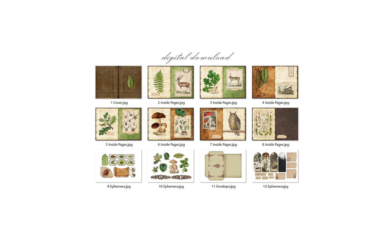 Forest Scrapbooking Kit, an Animal Illustration by Secret Helper (Photo 9 of 9)