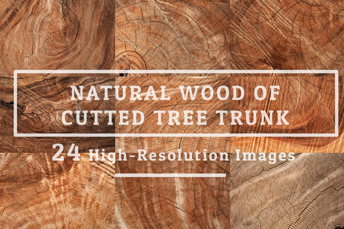70 Wood Texture Background Set 08, a Texture Graphic by FWStudio (Photo 8 of 8)
