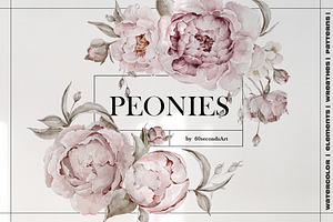 Watercolor peonies flowers Patterns