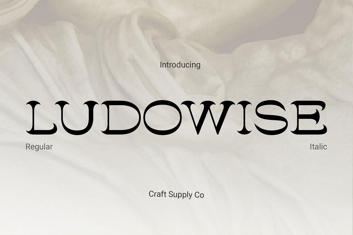 Ludowise – Contemporary Serif, a Serif Font by Craft Supply Co. (Photo 1 of 8)